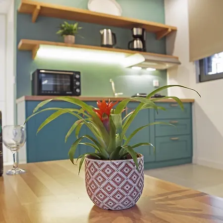 Terpsis Estate Apartament